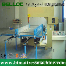 Double Side Foam Vertical Cutting Machine